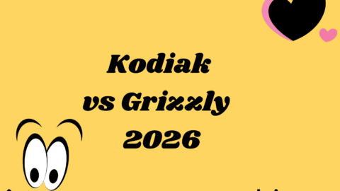 Kodiak vs Grizzly