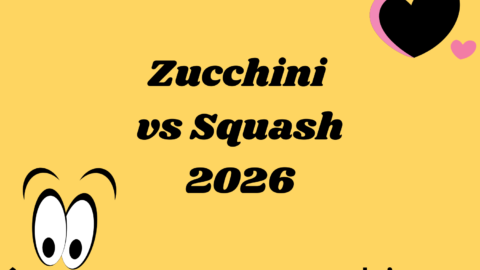 Zucchini vs Squash