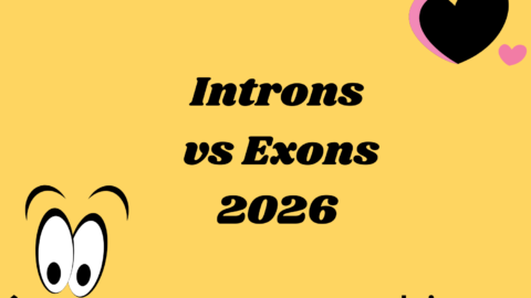 Introns vs Exons
