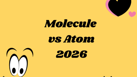 Molecule vs Atom