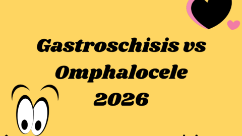 Gastroschisis vs Omphalocele