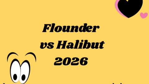 Flounder vs Halibut