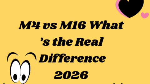 M4 vs M16 What’s the Real Difference