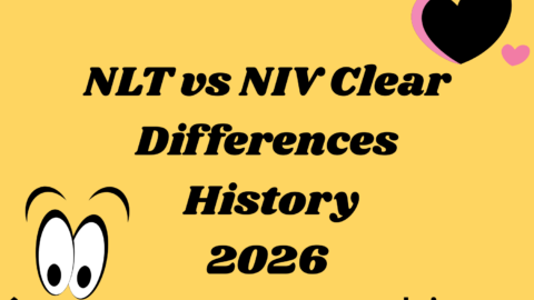 NLT vs NIV Clear Differences History