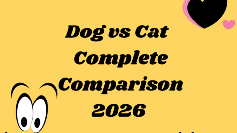 Dog vs Cat – Complete Comparison